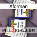 Xforman 12